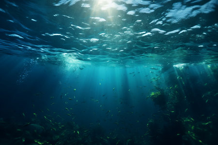 Stunning Underwater Shortの素材