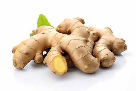 Spice and Herb Gingerの素材