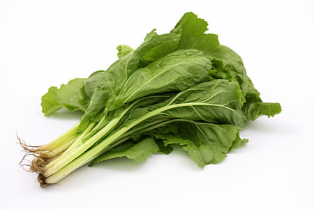 Nutritious Harvest Turnip Greens on Displayの素材