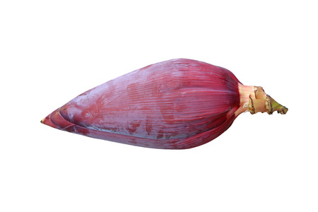 Banana blossom isolated on whiteの写真素材