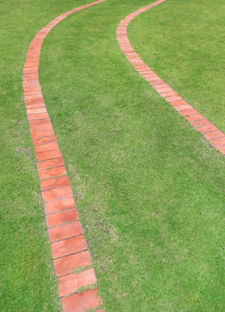 Pathway through green lawnの写真素材