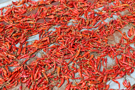 Hot chilli is drying on old zinc sheets. During middayの写真素材