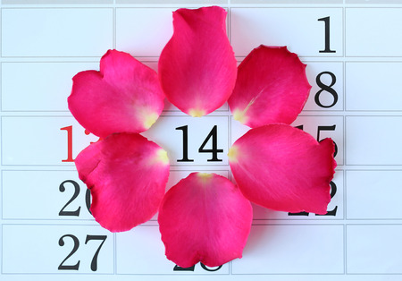 Calendar page with pink petals roses on February 14 of Saint Valentine's day.の写真素材