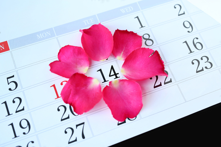 Calendar page with pink petals roses on February 14 of Saint Valentine's day.の写真素材