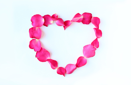 Petals of rose flower in heart shape on white background.の写真素材