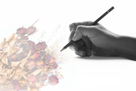 Hand holding a pencil on a vintage rose background.の写真素材