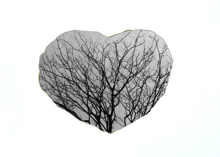 Burning paper heart background with black and white image of leafless in Heart.の写真素材