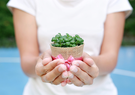 Small tree in a pot wrapped in burlap on woman hands against garden background.の写真素材