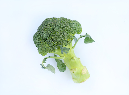 Broccoli vegetable on white backgroundの写真素材