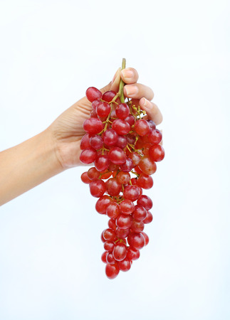 Hand holding bunch red grape on white background.の写真素材