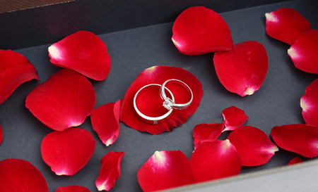 Wedding rings on petals of red rose in luxury leather box.の写真素材