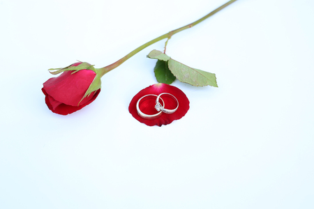 Red roses flower with wedding ring on white background.の写真素材
