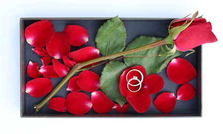 Wedding rings on petals of red rose in luxury leather box.の写真素材