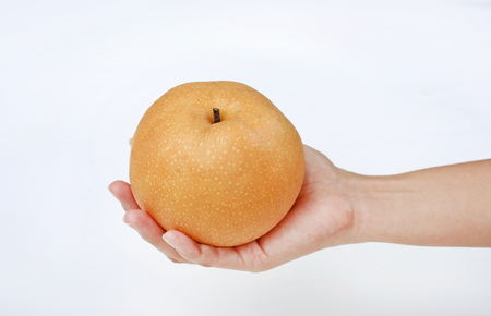 Hand holding Chinese pear on white backgroundの写真素材