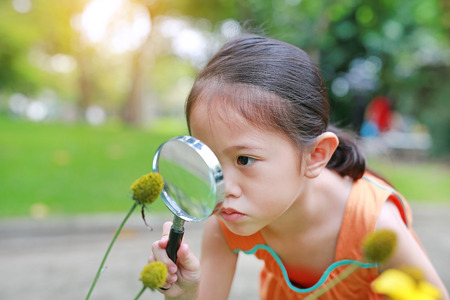 Pretty little Asian child girl with magnifying glass looks at flower in summer parkの写真素材