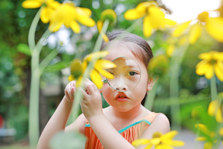 Pretty little Asian child girl with magnifying glass looks at flower in summer park.の写真素材