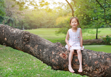 Adorable little child girl climb and resting on big tree trunk in the garden outdoor.の写真素材