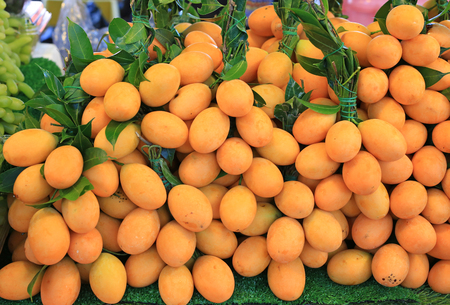 Anacardiaceae or Plum Mango, tropical fruit of Thailand.