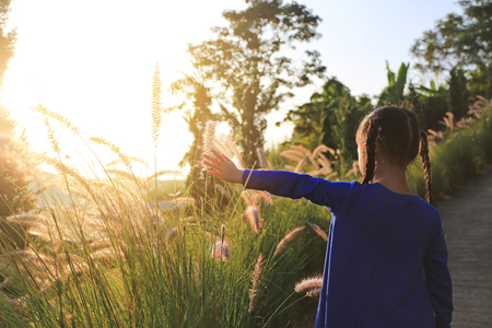 Back view Asian little kid girl using hand to touching wild grass at sunset.の写真素材
