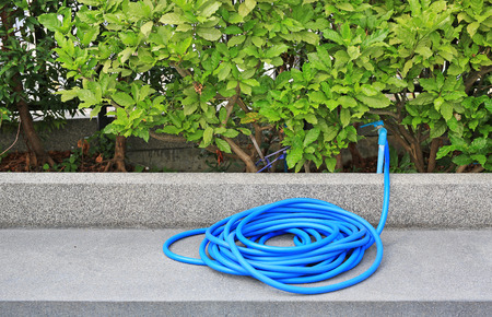 Blue rubber tube for watering plants in the garden.の写真素材