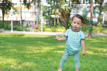 Asian baby boy walking first step on green grass garden.の写真素材