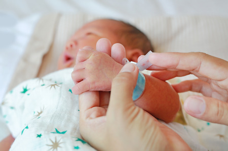 Concept of love and family. Mother and baby handsの写真素材