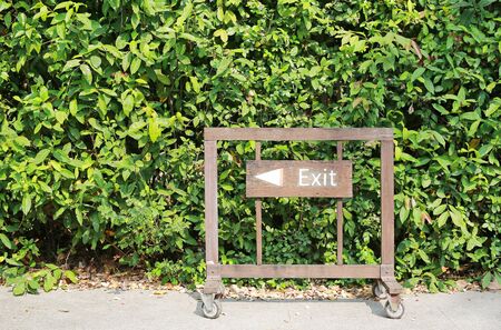 Exit with arrow sign on wood board against green leaf wall background.の写真素材