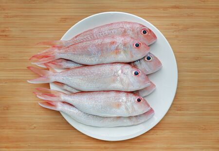 Fresh Ornate threadfin bream on white plate against wooden board background.の写真素材