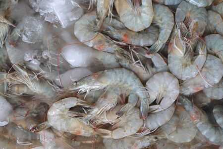 Fresh Shrimps on ice at seafood market, Thailand.の写真素材