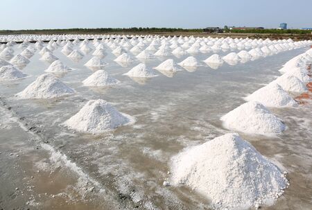 Sea salt farm in Thailandの写真素材