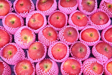 Apple wrapped with spongeの写真素材