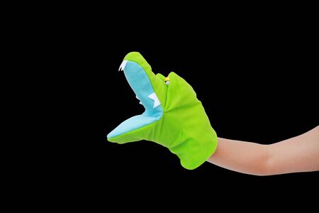 Hand wearing Crocodile puppets isolated on black background, Crocodile head.