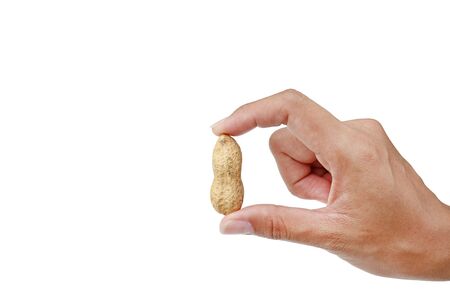 Hands holding peanuts in the shell isolated on white backgroundの写真素材