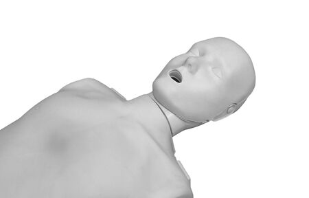 Model of CPR training medical procedure isolated on whiteの写真素材