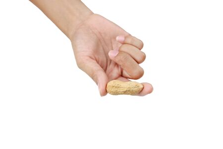 Hands holding peanuts in the shell isolated on white background