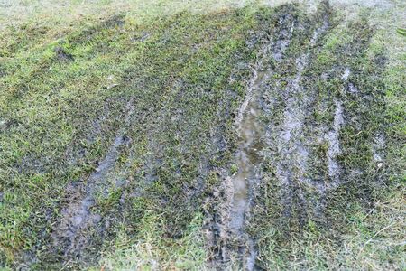 Muddy road on wet green grass.