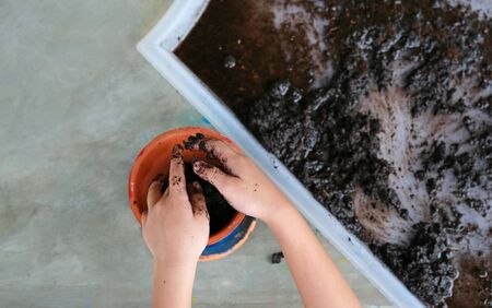 Baby hands lay the soil in a flowerpot. Planting of trees.