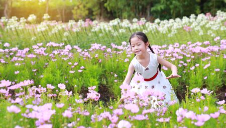 Happy Asian little child girl with smiling in the fresh flower garden. Kid play in the park outdoor.の写真素材