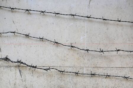 Rusty barbed wire on concrete wall background.の写真素材
