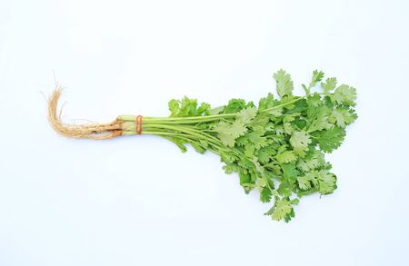 Coriander bunch isolated over white background. Top view