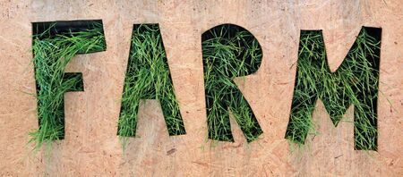 Farm word made of green grass in the plywoodの写真素材