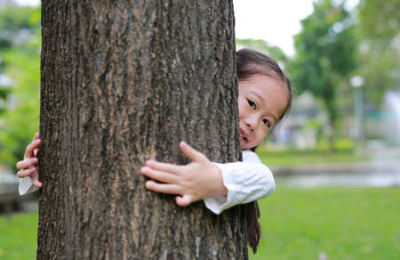 Smiling little Asian child girl hugging a big tree in the garden with hide her body behind trunk.の写真素材