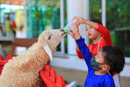 Asian little boy and girl feeding sheep by milk bottle.の写真素材
