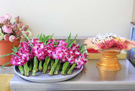 Orchids flower for Buddhist religious ceremonyの写真素材