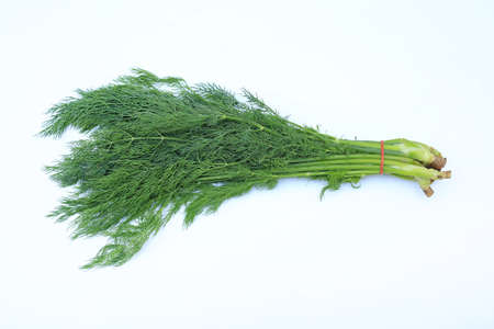 Fresh of green dill bunch isolated on white background.