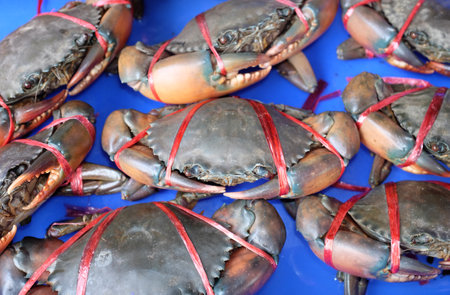 Live Crabs at seafood market, Thailand.
