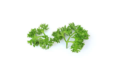 Fresh Parsley isolated on white backgroundの写真素材