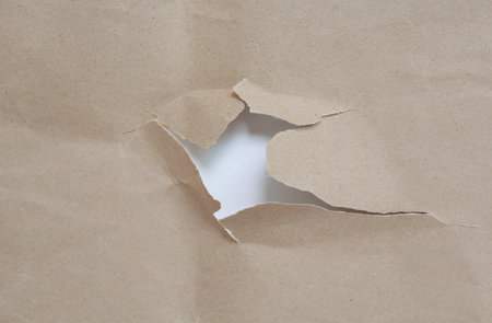 Torn brown paper lies on white backgroundの写真素材