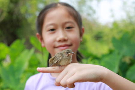 Little sparrow sitting on kid hand, taking care of birds, friendship. Concept of nature of life. Focus at small bird.の写真素材