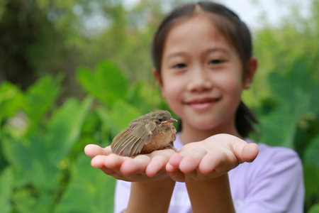 Little sparrow lying on child hands, taking care of birds, friendship. Concept of nature of life. Focus at small bird.の写真素材